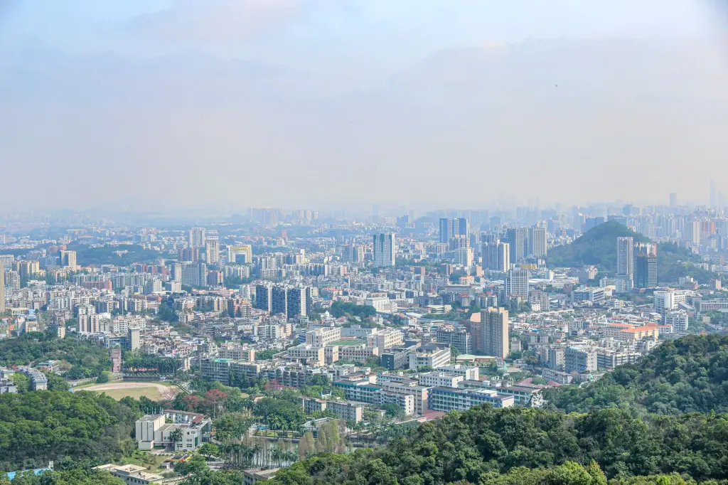 重庆地区企业新媒体代运营服务商选择标准与评估要点